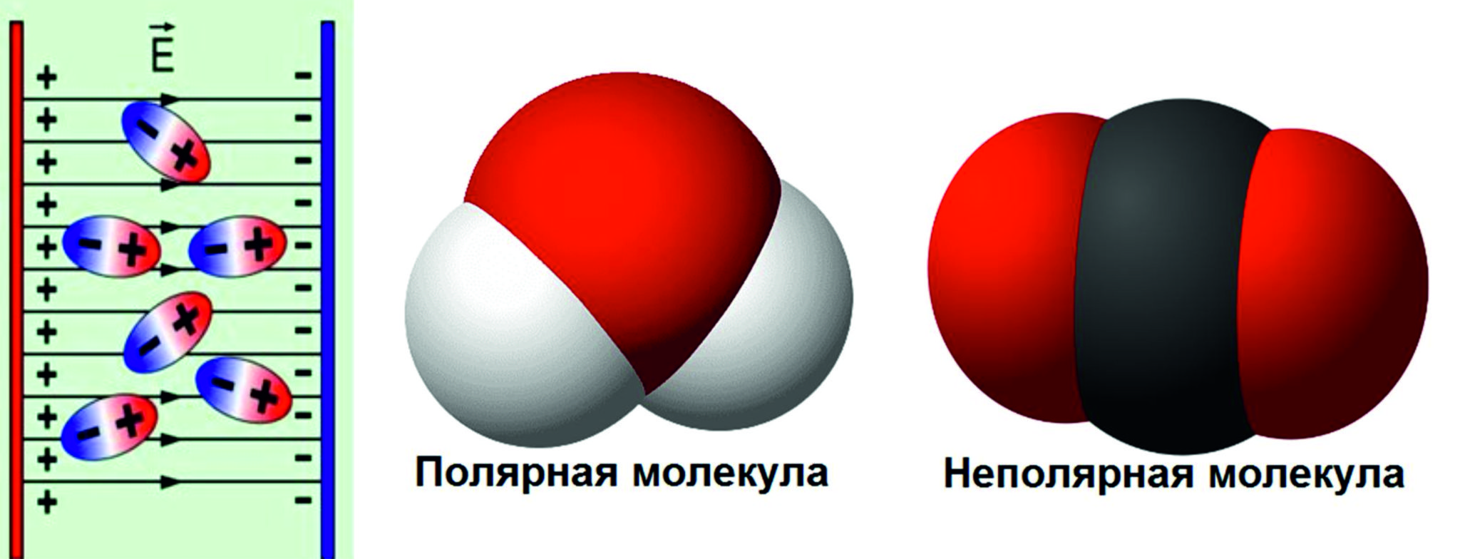 Какие молекулы полярны. Полярные молекулы. Полярная молекула. Полярная неполярная. Вещества молекулы которых полярны. Полярные молекулы примеры.